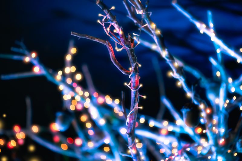 Tree Lighting Designs